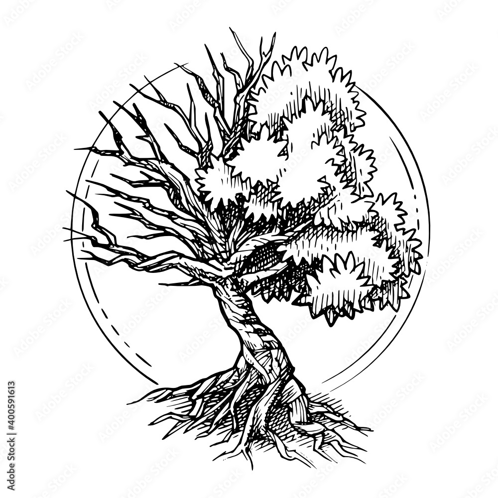Tat Mad Tattoos  Tree with Enso circle Tattoo  The Tree  Facebook