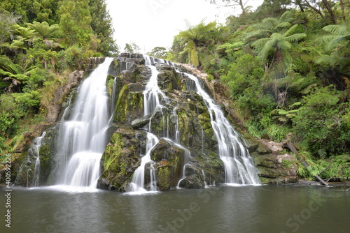 Owharoa Falls  Waikino  North Island  New Zealand