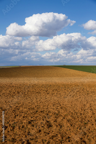 Landscape with fallow land recently plowed and cereal crops. A sunny day with cottony clouds