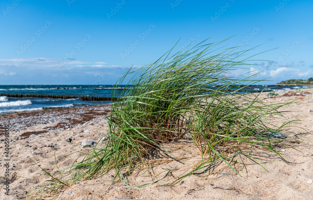 Ostseeküste auf der Insel Rügen, Deutschland Ostseeküste auf der Insel Rügen, Deutschland