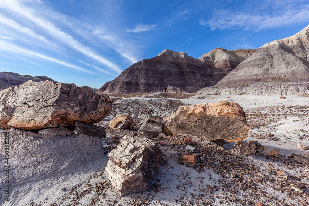 Petrified Logs in Petrified Forest National Park, Arizona, US. Petrified Forest National Park is known for the fossils of fallen trees lived about 225 million years ago.