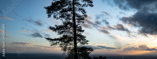 Leith Hill sunset, surrey