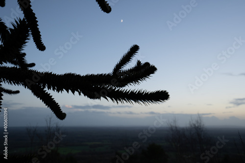 Leith Hill sunset, surrey
