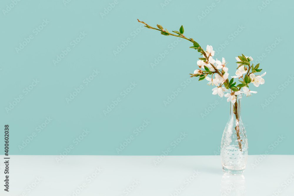 Spring or summer festive blooming with white flowers fruit tree branches in small crystal vase against tender green blue background. Fresh floral background with copy space
