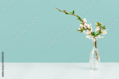 Spring or summer festive blooming with white flowers fruit tree branches in small crystal vase against tender green blue background. Fresh floral background with copy space