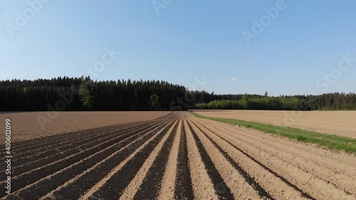 Luftaufnahme tiefer und schneller Flug über wenige Reihen einen Kartoffelackers mit Weg auf der rechten Seite
