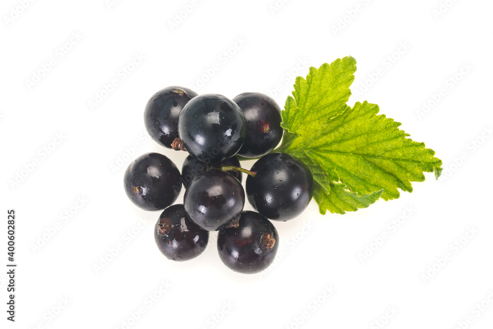 Fresh ripe sweet black currant Fresh ripe sweet black currant