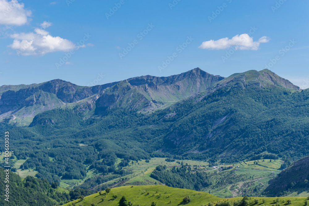 mountain landscape in summer