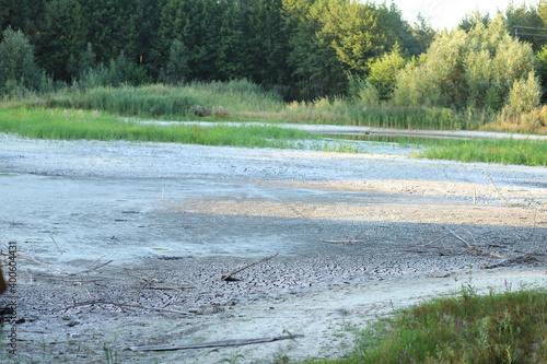Φωτογραφία dry river in the forest. drought. ecological catastrophy