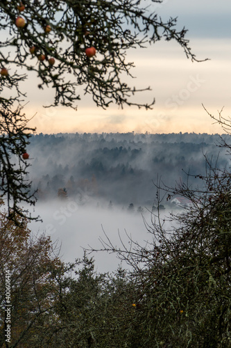 Nebelige Landschaft