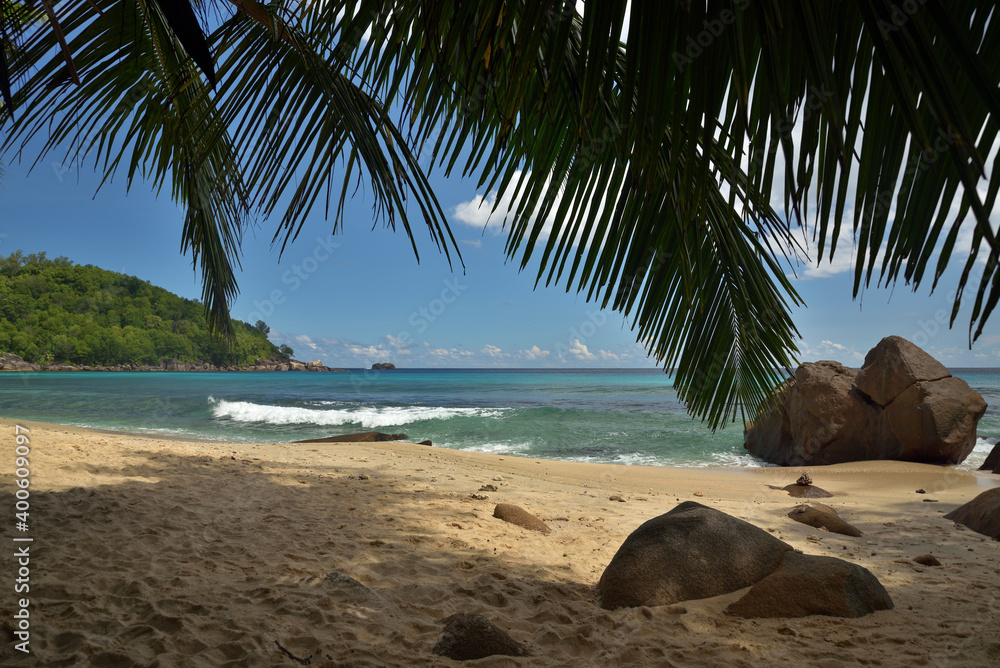 Ein tropischer Strand auf den Seychellen
