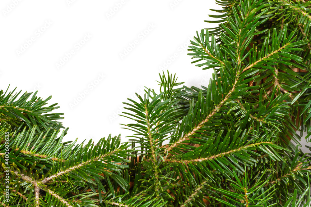 Christmas background. Christmas fir tree on white background. Top view