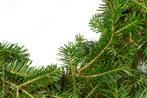 Christmas background. Christmas fir tree on white background. Top view