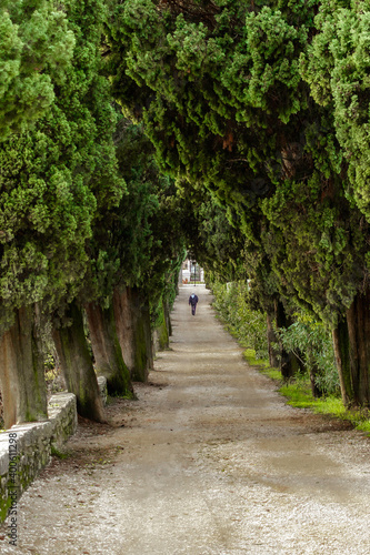 Avenue leading to the park of San Vigilio. The park forms a peninsula that closes the Gulf of Garda to the northwest. San Vigilio has always been a destination for illustrious visitors. © daniele