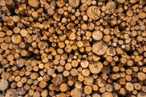 Pulpwood logs and their wood texture.