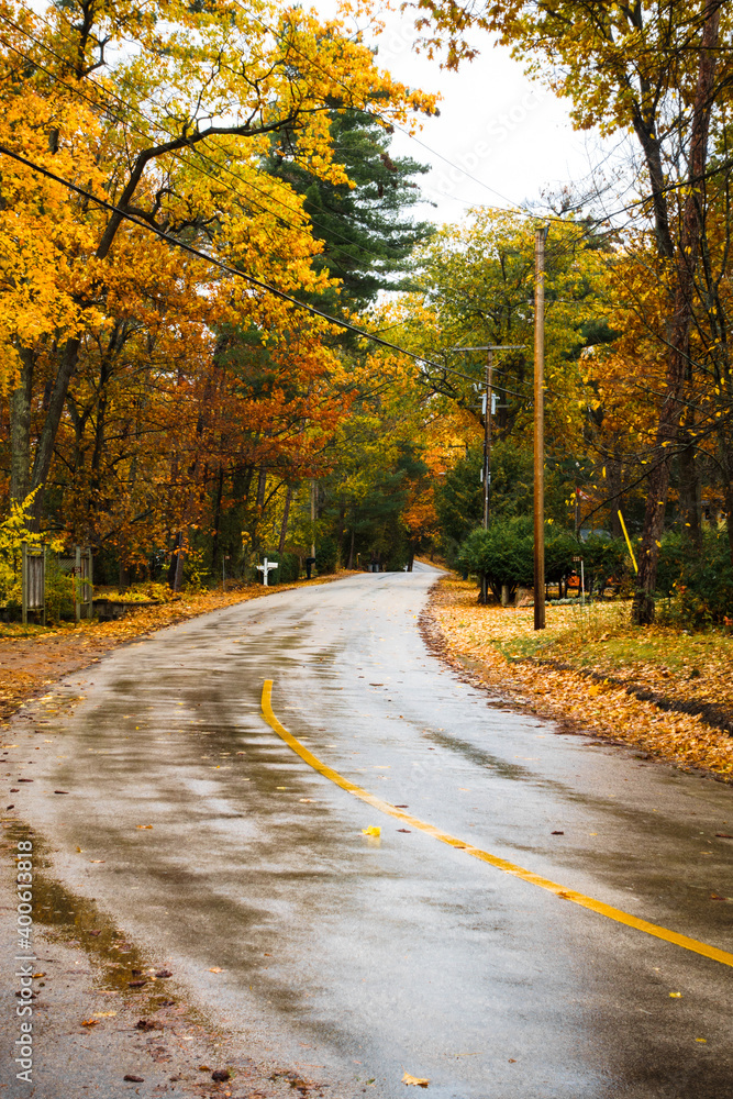Fototapeta premium Wet street in autumn