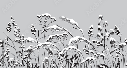 Seamless border with Monochrome Meadow Plants under the Snow