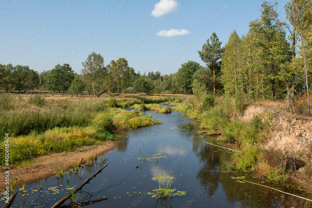 river in the forest river in the forest