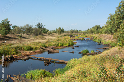river in the forest