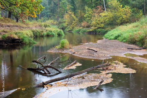 lake in the park