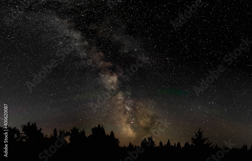 Night sky filled with stars including the core of the Milky Way and the Dark Horse Nebula. Pine trees are silhouetted on the horizon. 