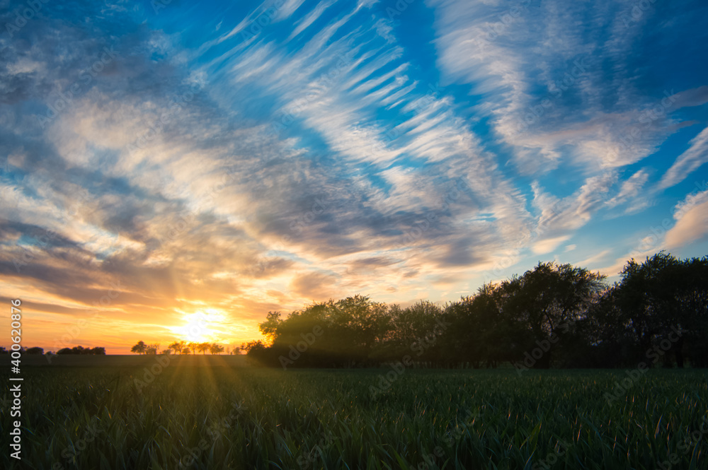 Sunset on a meadow with green grass and silhouettes of trees. The sky is full of colorful clouds. Sunbeams and beautiful spring colors.