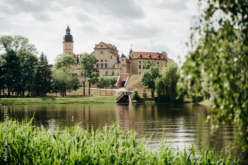 Obraz premium the castle in the park