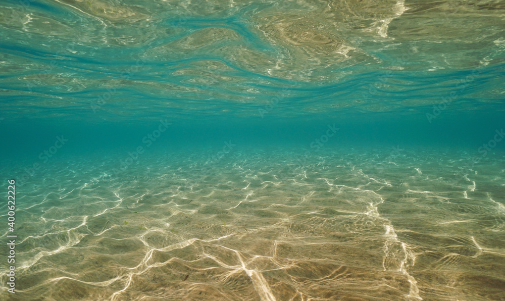 Fototapeta premium Underwater background, sandy seabed in the sea below water surface, natural scene, Mediterranean, Spain