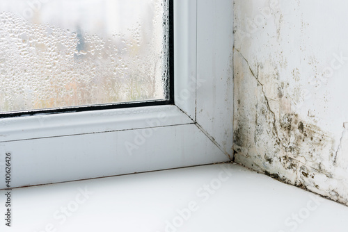 Mold in the corner of the plastic windows photo