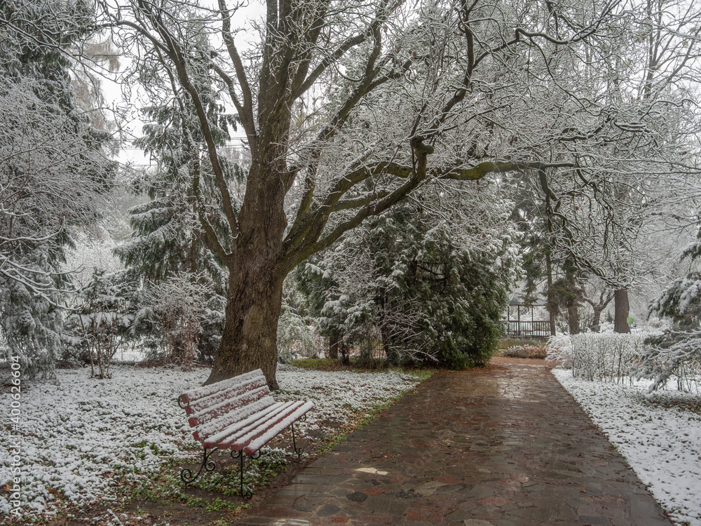 Empty park bench covered by snow.