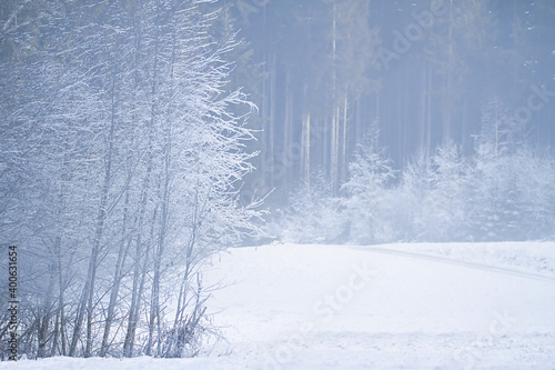 Gefrorene Winterlandschaft mit einem Wald und Nebel im Hintergrund. Eiseskälte im Januar.