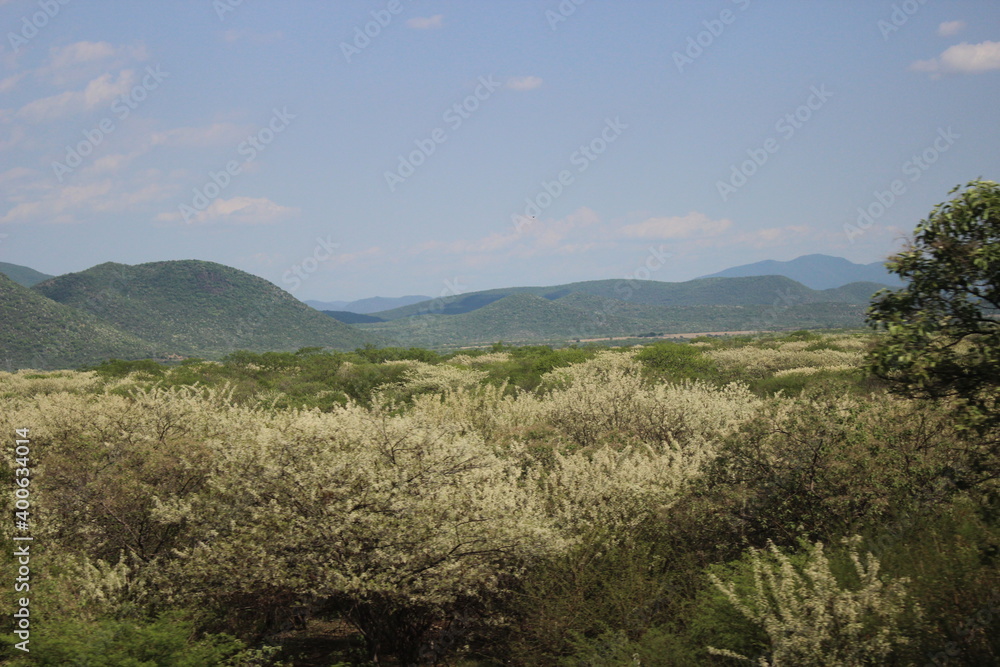 Obraz premium Campo y montañas