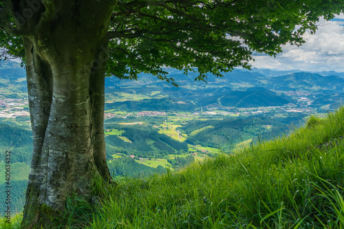 Vista aerea del valle de Abadiño desde un haya del monte Untzillaitz  photo