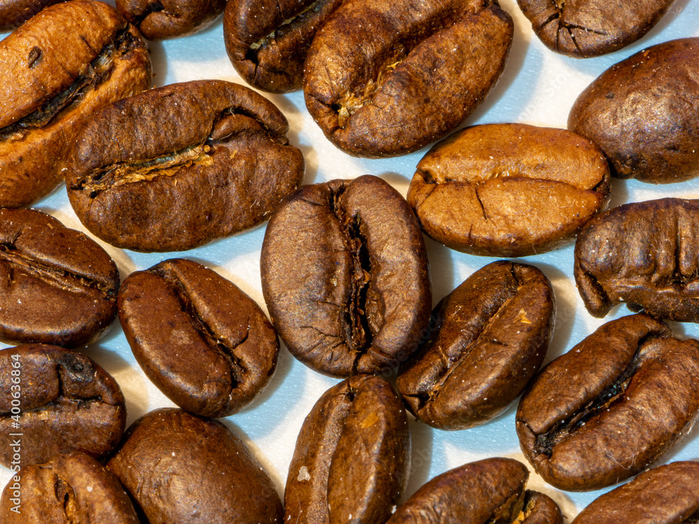 Coffee beans of the Arabica variety, separated and roasted Coffee beans of the Arabica variety, separated and roasted