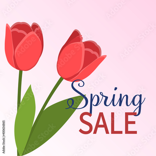 Spring discounts. Tulips on a delicate background. March April May. Warm season