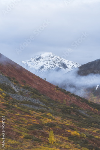Snow capped 