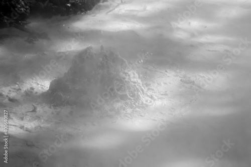 Slika na platnu Mud Pot bubbling in Yellowstone National Park