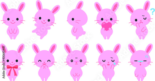                               Rabbit illustration material