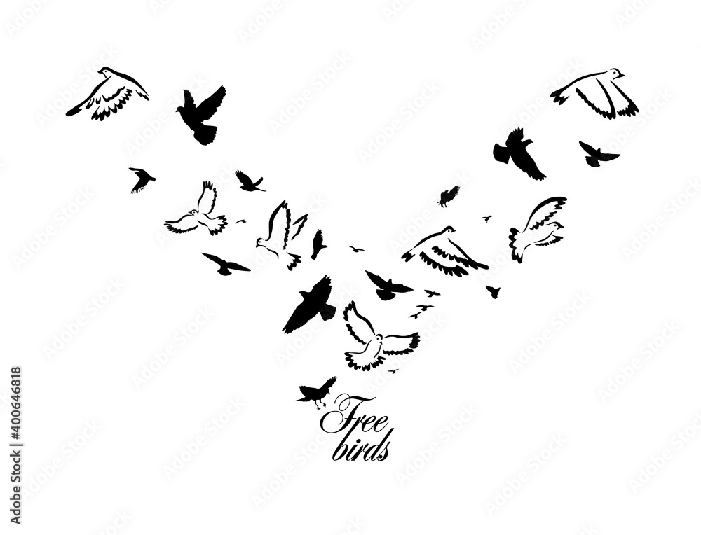 A flock of flying birds. Vector illustration A flock of flying birds. Vector illustration