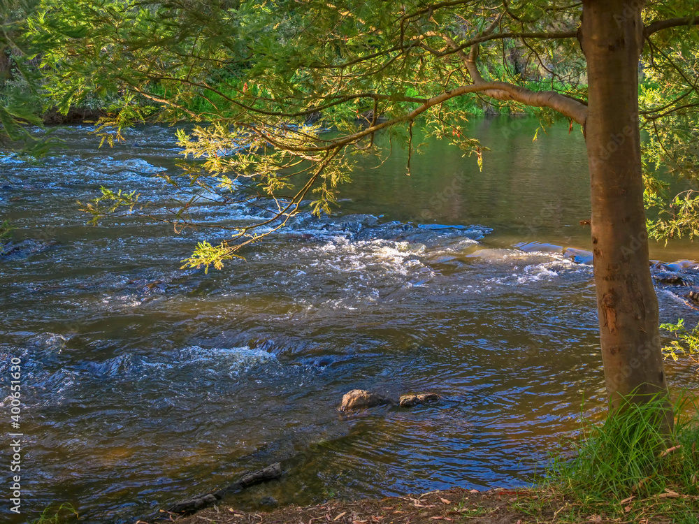 Sunny Rapids Sunny Rapids