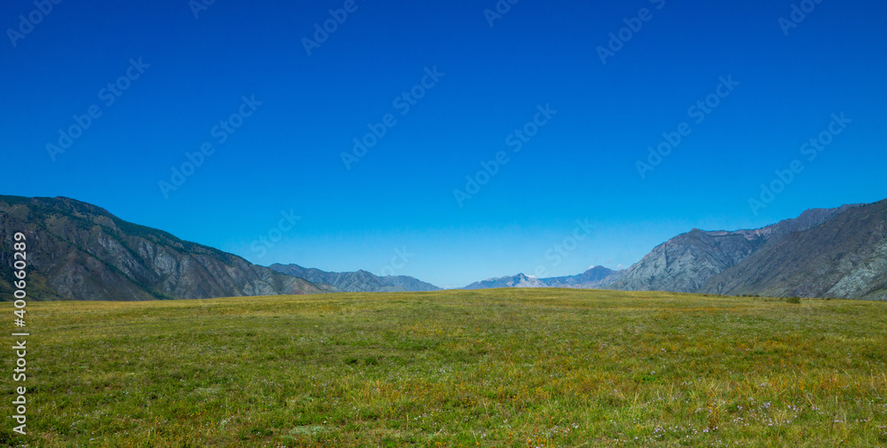 Green valley landscape and small forests with mountains on background
