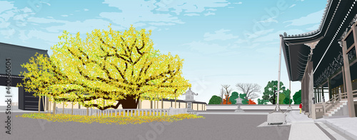 西本願寺 御影堂の秋