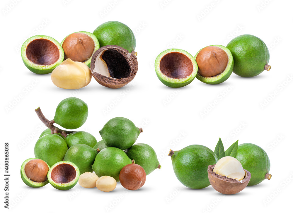 macadamia nuts on white background