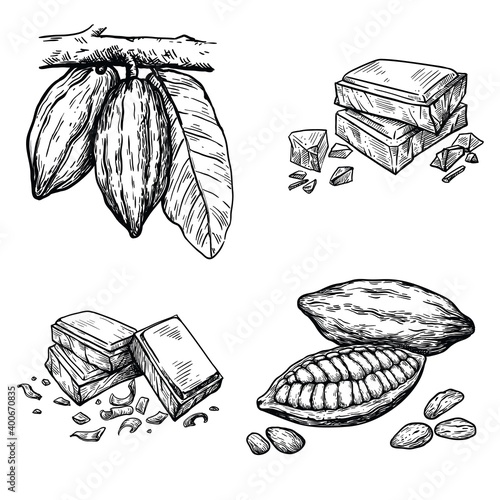 Cocoa beans illustration. pieces of natural dark chocolate. vector illustration isolated on white background