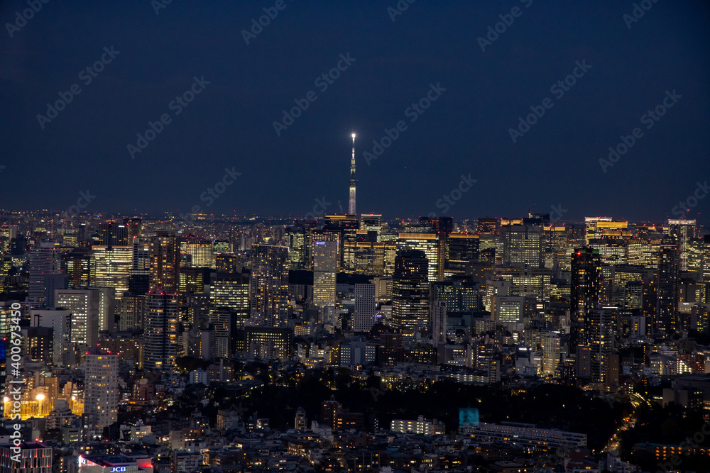 Fototapeta premium 都会の夜景 : 東京スカイツリー方面
