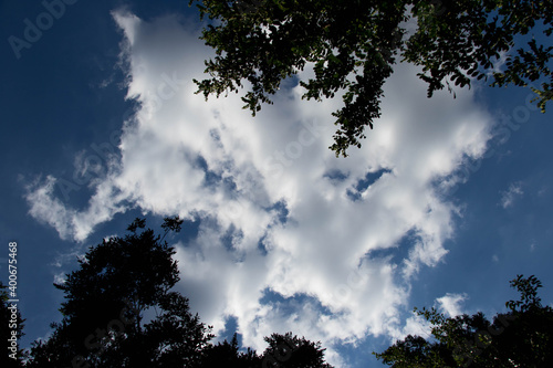 An evil face formed in the sky by clouds image in horizontal format