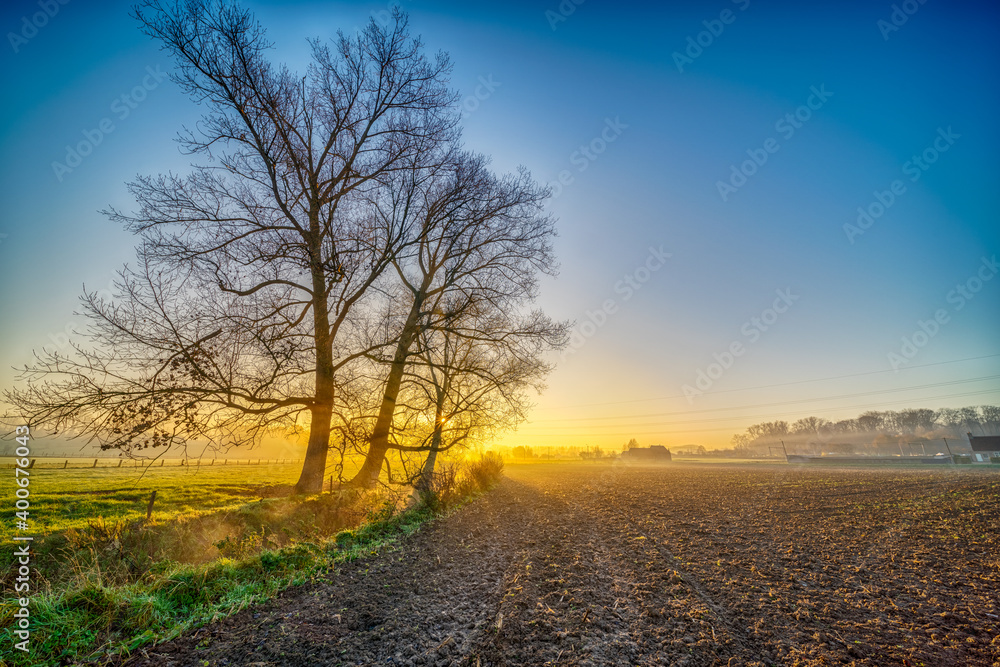 Fototapeta premium at sunrise whit mist
