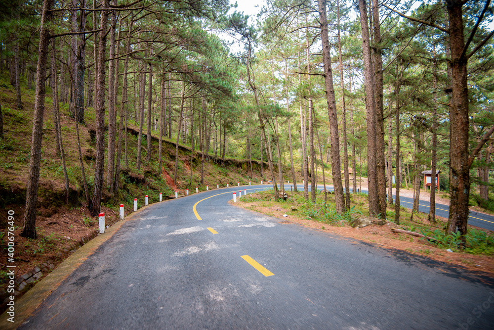 Fototapeta premium road to the top of langbiang mountain