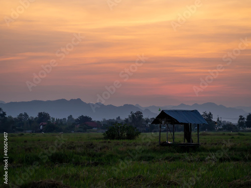 Thailand style hut with rice fields in the evening