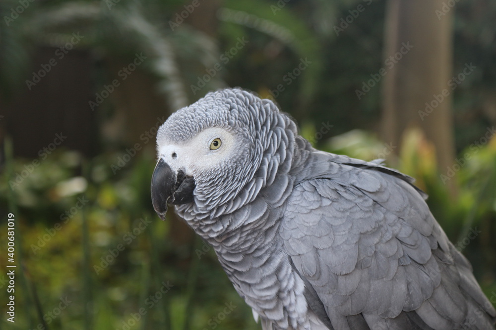 Bird Gardens, Montecasino Boulevard, Johannesburg, South Africa. Bird Gardens, Montecasino Boulevard, Johannesburg, South Africa.